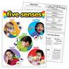 Trend Enterprises Five Senses Learning Chart, 17in x 22in T38051